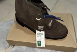 Brown desert Clark’s