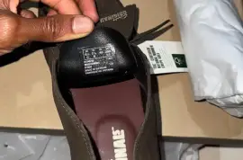 Brown desert Clark’s