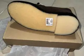 Brown desert Clark’s