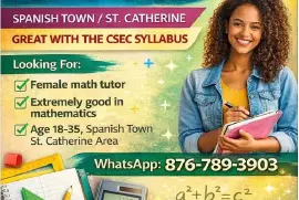 A female Maths Tutor needed