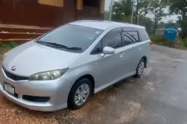 2010 Toyota Wish