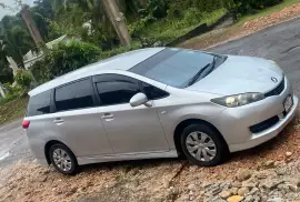 2010 Toyota Wish