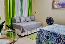 1 Bedroom, 1 Bathroom Apartment