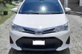 2019 Toyota Corolla Axio
