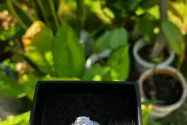 Wedding ring