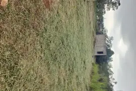 Residential Lot with Partially Complete Studio 