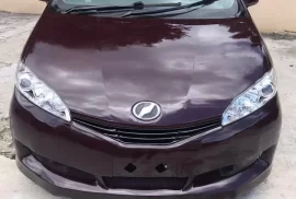 2010 Toyota wish