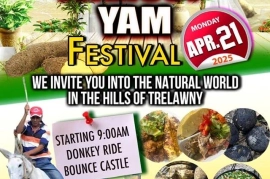Warsop Yam Festival 2025 (Past)