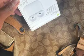 3rd generation Apple earplugs
