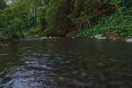Linstead residential lot with river