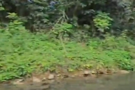Linstead residential lot with river