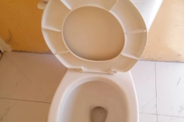 New High Round Toilet