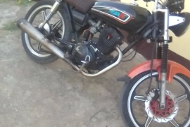 250cc Tiger Bike