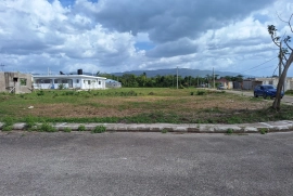 Quarter acre lot