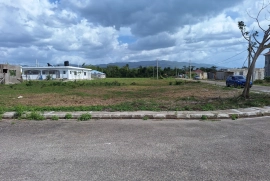 Quarter acre lot