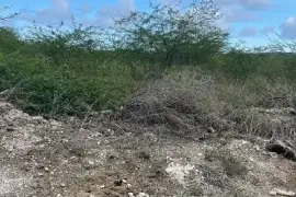 1 Beautiful lot of land