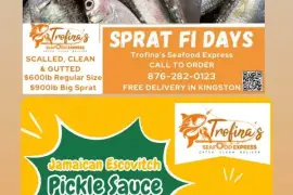 Trofina Seafood Express