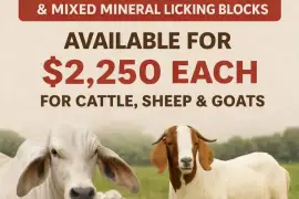 5LB Molasses Mineral Blocks & Mixed Licking Blocks