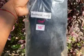 16” Burmese curly full human hair 180 density