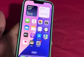 13 PRO MAX 256GB No repair history