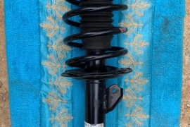 Shocks (right hand side)