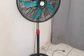 Fan