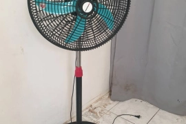 Fan