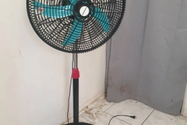 Fan