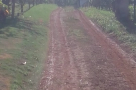 Land