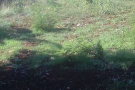 Land