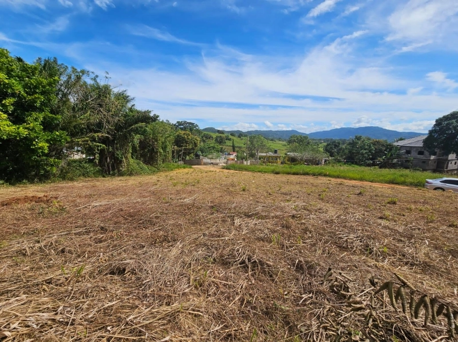 CLARENDON LAND