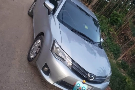 2014 Toyota Axio