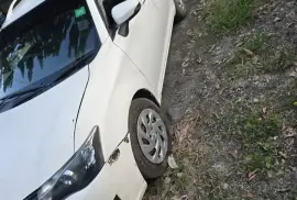 2014 Toyota Fielder