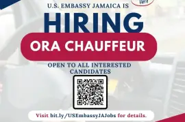 ORA Chauffeur
