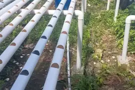 Full hydroponic system