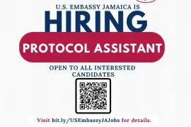 Protocol Assistant