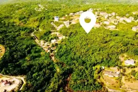 14.5 Acres of Potential Paradise