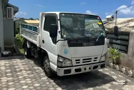 2006 Isuzu elf 3ton tipper truck newly imported