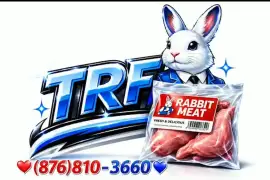Premium Rabbit Meat