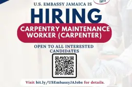 Carpentry Maintenance Worker