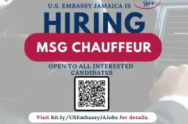MSG Chauffeur