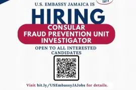Consular Fraud Prevention Unit Investigator