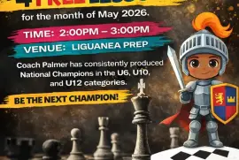 FREE Chess lessons