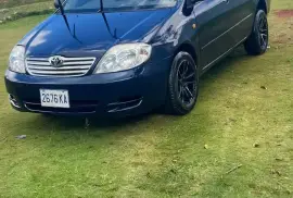 Toyota Kingfish 2003