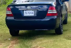Toyota Kingfish 2003