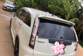 2011 RSZ Honda Stream R20