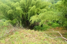 2.1 Acres