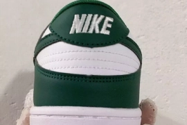 Nike Dunks