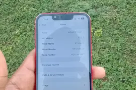 iPhone 13 