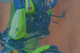 zamco 250cc